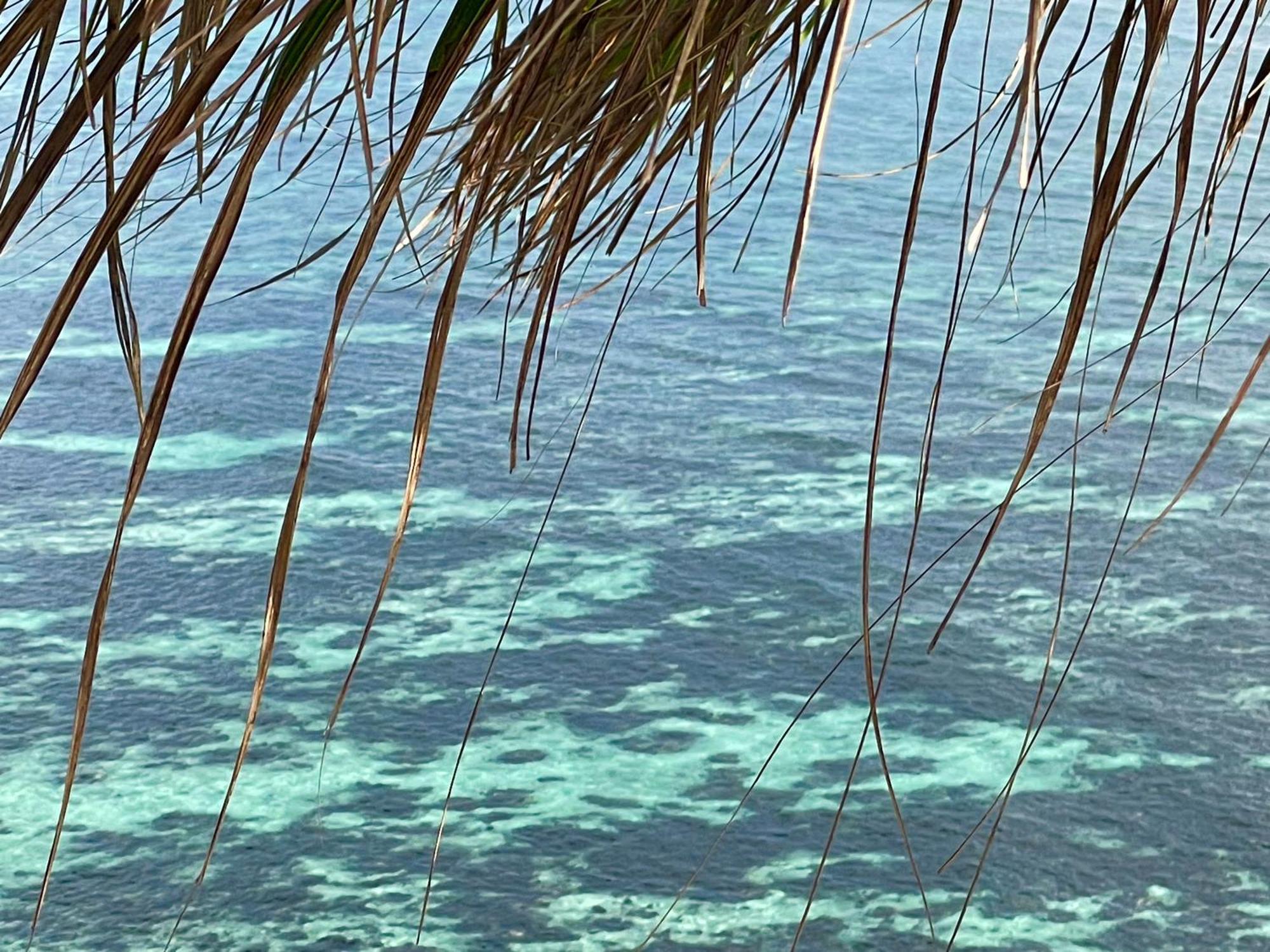Chalets Bougainville Takamaka Rom bilde